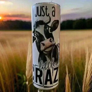 Just a Little Crazy